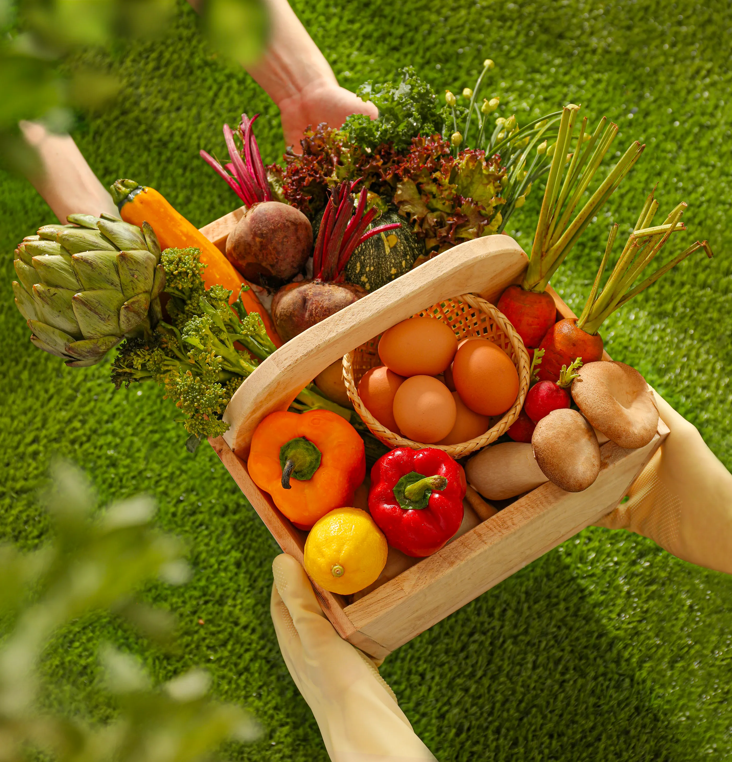 Vegetable Basket