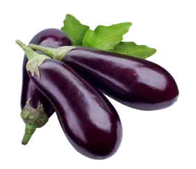 eggplant